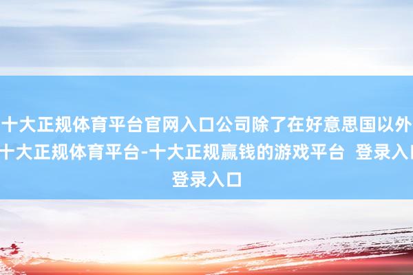 十大正规体育平台官网入口公司除了在好意思国以外-十大正规体育平台-十大正规赢钱的游戏平台  登录入口