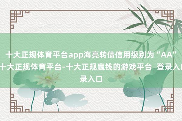 十大正规体育平台app海亮转债信用级别为“AA”-十大正规体育平台-十大正规赢钱的游戏平台  登录入口