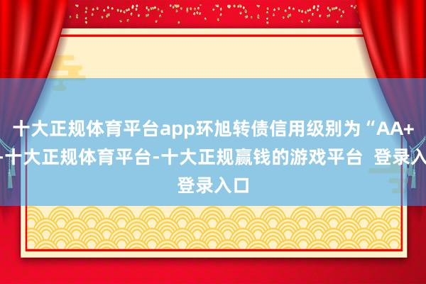 十大正规体育平台app环旭转债信用级别为“AA+”-十大正规体育平台-十大正规赢钱的游戏平台  登录入口