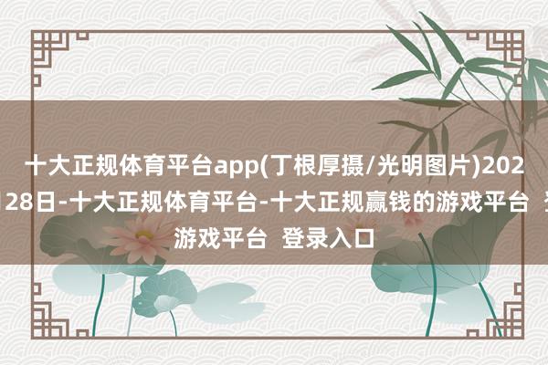 十大正规体育平台app(丁根厚摄/光明图片)2024年12月28日-十大正规体育平台-十大正规赢钱的游戏平台  登录入口
