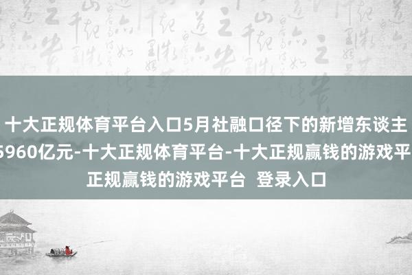 十大正规体育平台入口5月社融口径下的新增东谈主民币贷款为5960亿元-十大正规体育平台-十大正规赢钱的游戏平台 登录入口