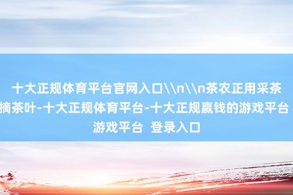 十大正规体育平台官网入口\n\n茶农正用采茶机功课采摘茶叶-十大正规体育平台-十大正规赢钱的游戏平台  登录入口